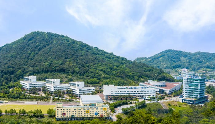 Songwon University