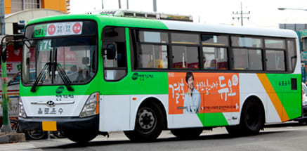 지선버스